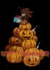 pumpkin_by_saku666.jpg