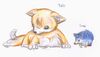 sonic_and_tails_real_animals_by_sv_spinny.jpg