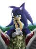 sonic_sonic_in_the_mountain_by_akirunyang.jpg