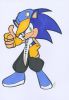 sonic_the_street_fighter_by_whitefox89.jpg