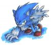 sonic_the_werehog_by_merokosart.jpg