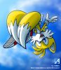 tails-4.jpg