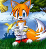 tails_and_birdies_by_tailschao.jpg