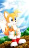 tails_in_the_morning_light_by_mckimson.png