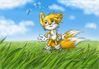 tails_of_the_summer_by_nocturnalmoth.jpg