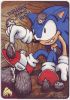 welcome_home_sonic_by_britbrakdown.jpg