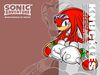 knuckles.jpg