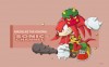 wallpaper_207_knuckles_16_pc.jpg