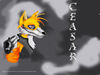 ceasar_furry_wallpaper_finish.jpg