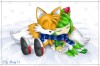 tails_and_cosmo.jpg