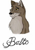 balto_.jpg