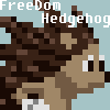 FreeDom Hedgehog