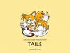 tails_gottofly.jpg