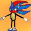 Skwardj The Hedgehog