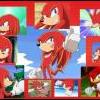 Shadow the Knuckles