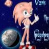 Oznic The Hedgehog