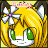 Sunny the Fox