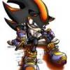 Shadow the mega hedgehog