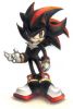 shadow_the_tenrec_by_tazi_san.jpg