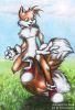 tails_by_furryratchet.jpg