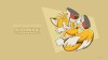 wallpaper_242_tails_18_pc_.jpg