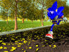 sonic_autumn_run_wallpaper_1024x768.jpg