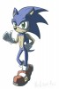 sonic~0.jpg