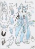 rozmary_character_ref_by_rozmarythecat-d59op5s.jpg