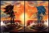 sonic_and_shadow_by_amytherose-d3j822r.jpg