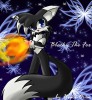 blacky_the_fox_by_yuki_orin-d30aw4z.jpg